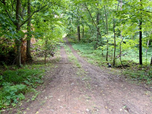 Property photo 2 - 120 Acres Offered in 9 Tracts - Real Estate & Personal Property Auctions